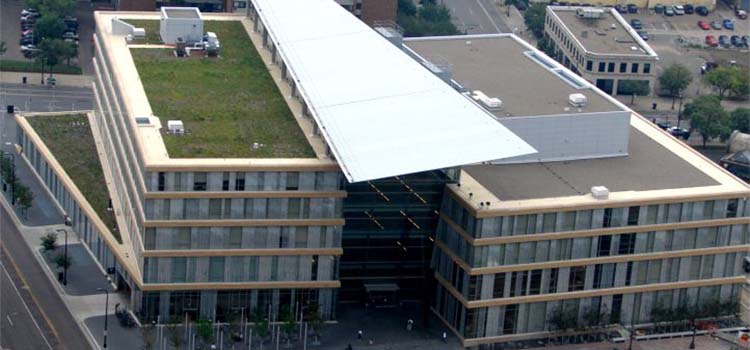 Green Roofs Are Great But Still Require Leading Edge Safety