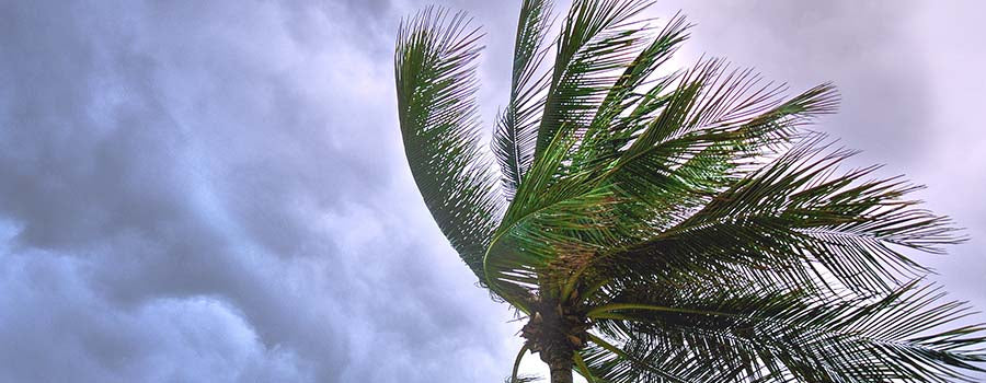Hurricane Michael Roof Repair